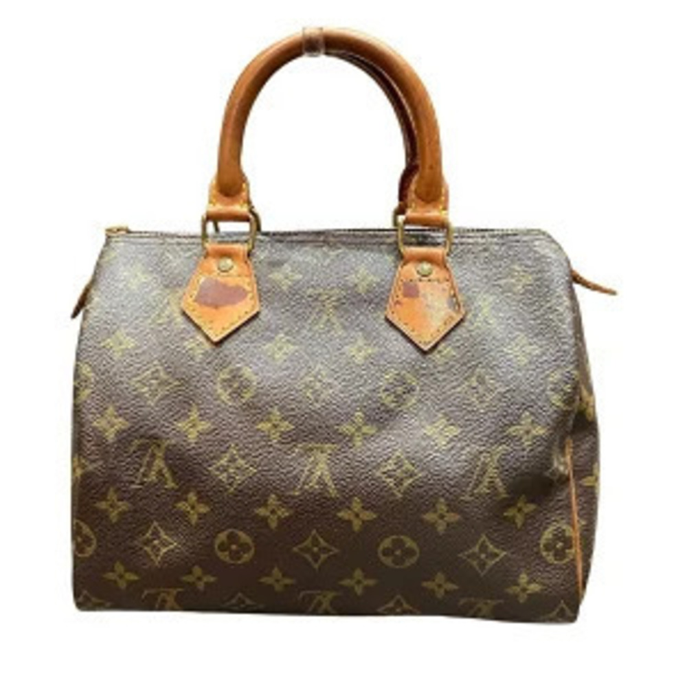 Louis Vuitton Handbag Speedy Monogram brown